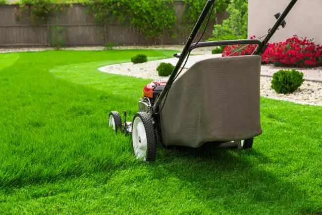 Can You Mow  Wet Grass in  Mission Viejo, CA