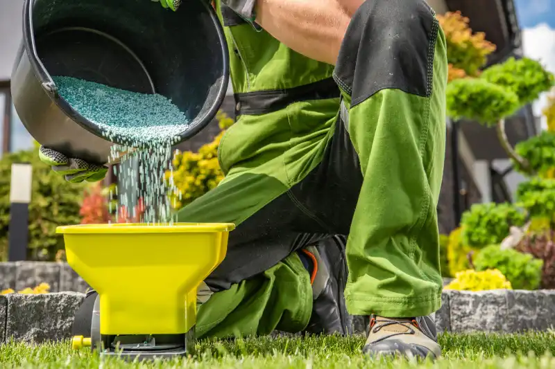 Lawn Fertilization in Mission Viejo, CA