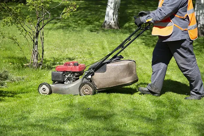 Lawn Mowing in Mission Viejo, CA