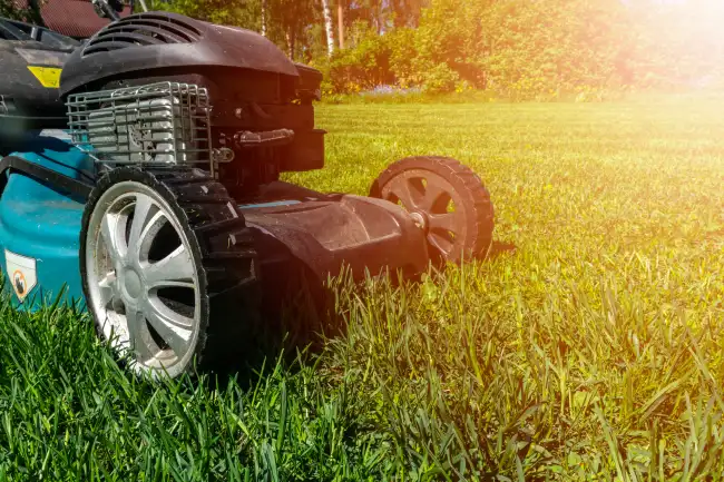 Lawn Mowing in Mission Viejo, CA