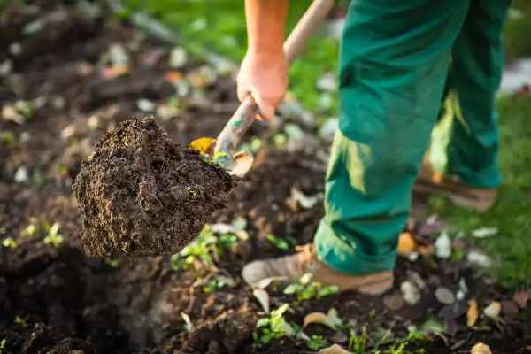 Mulching in Mission Viejo, CA