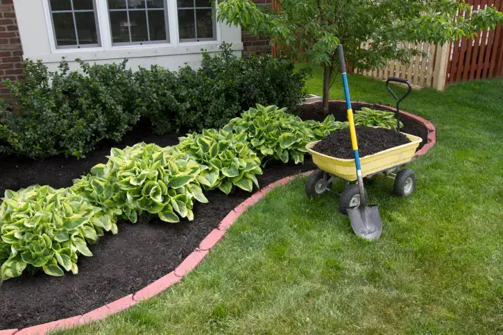 Mulching in Mission Viejo, CA