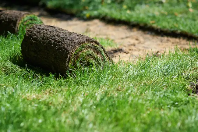 Sod Installation in Mission Viejo, CA