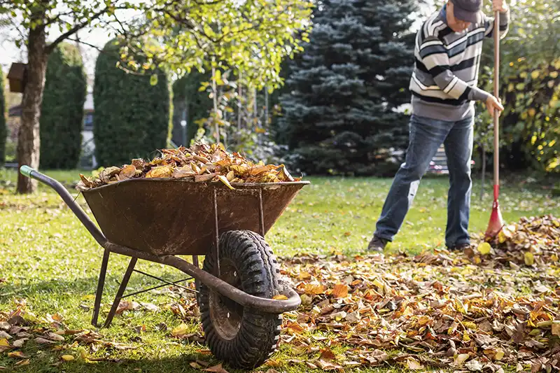 Yard cleanup in Mission Viejo, CA