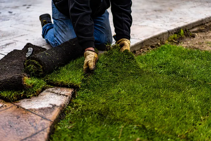 How long after installing sod can you walk on it in Mission Viejo, CA