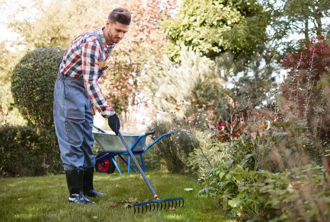 How to clear a yard full of weeds in Mission Viejo, CA