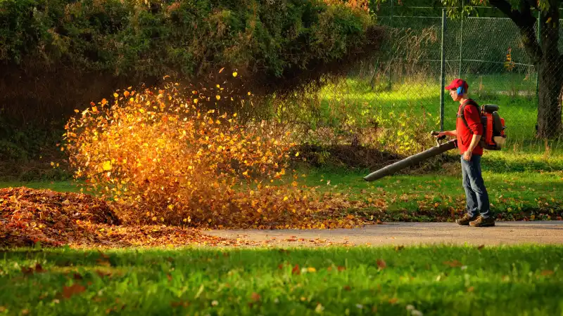 How to clear a yard full of weeds in Mission Viejo, CA